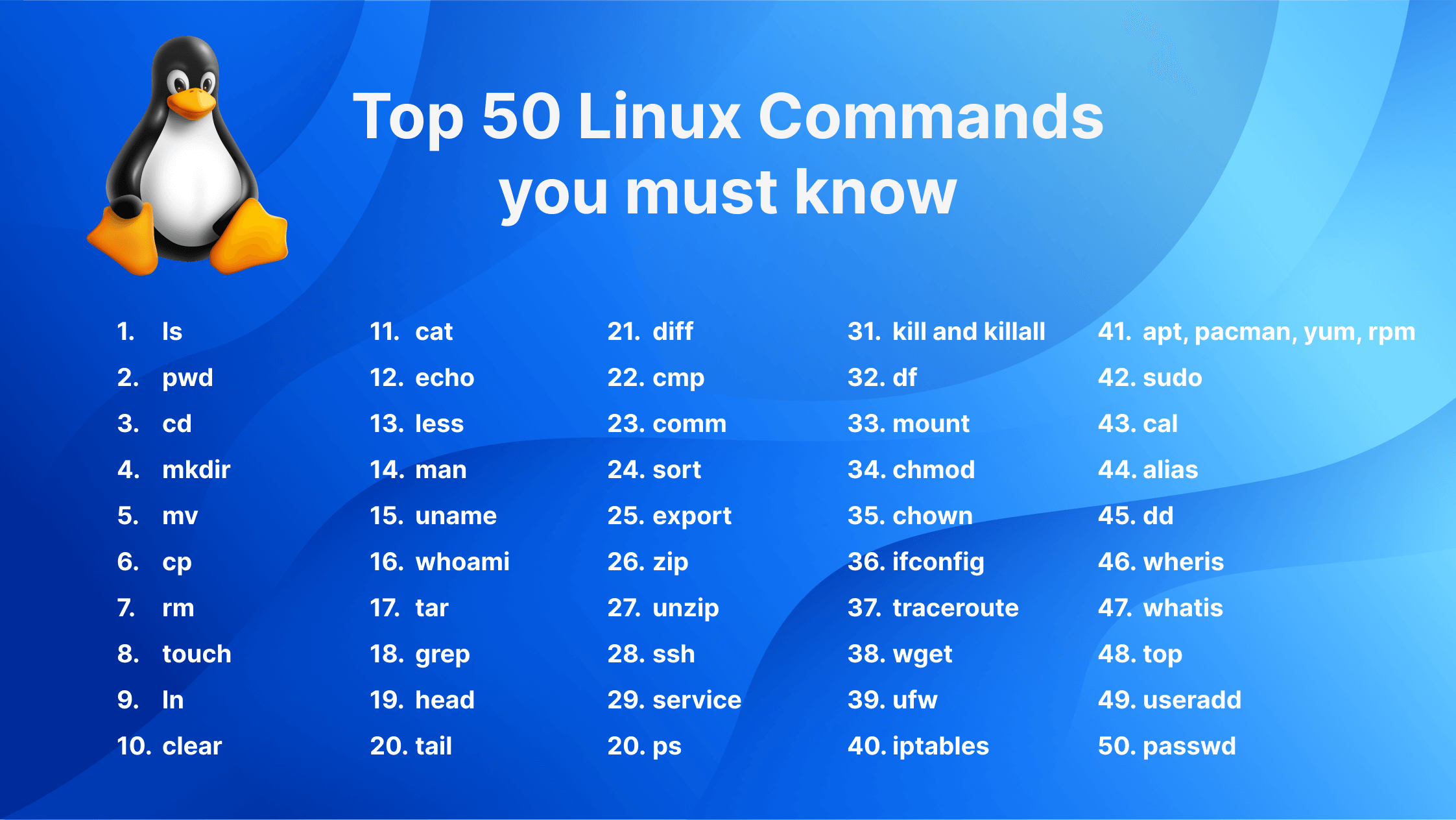 Linux终端示例